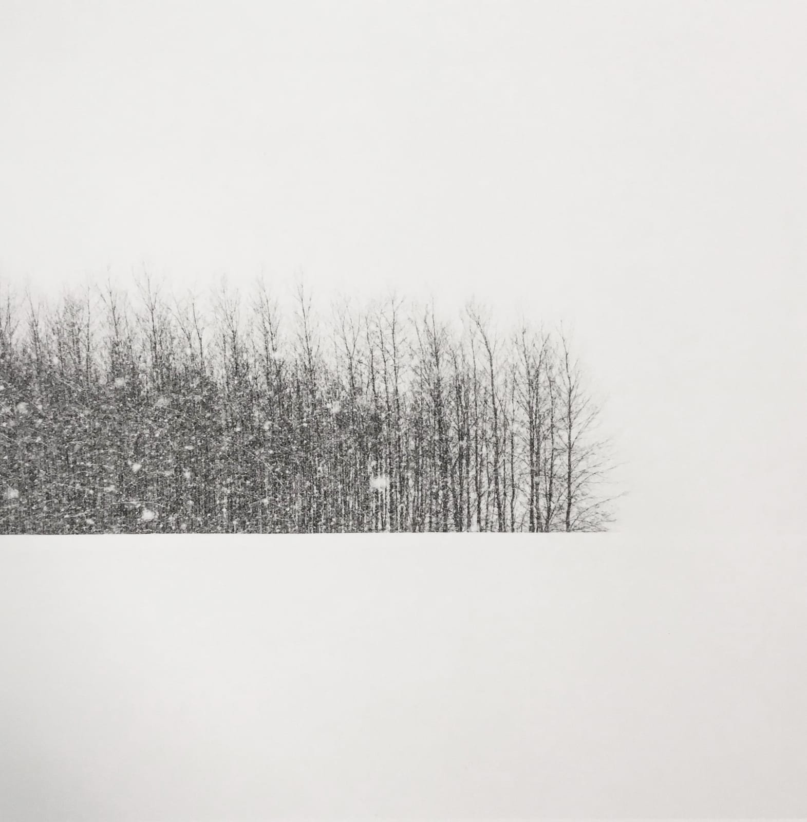 Jeffrey Conley, Trees in Winter Field, Oregon , 2014, printed 2023