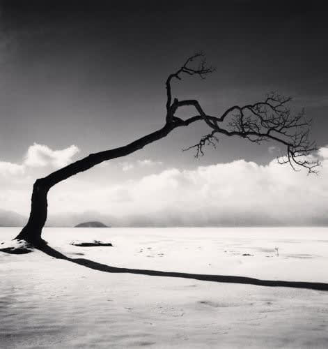 Michael Kenna, Kussharo Lake Tree, Study 10, Kotan, Hokkaido, 2005