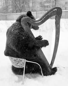 Gregori Maiofis (Григорий Майофис), Funt with Harp, 2011/ 2014