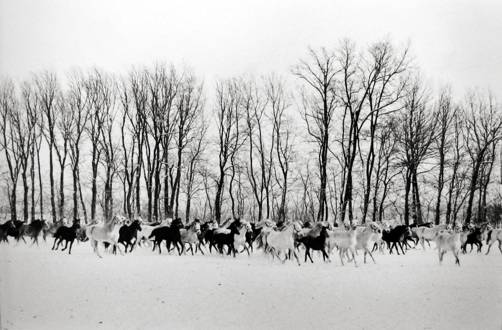 Henri Cartier-Bresson, Gyor, Hungary, 1964