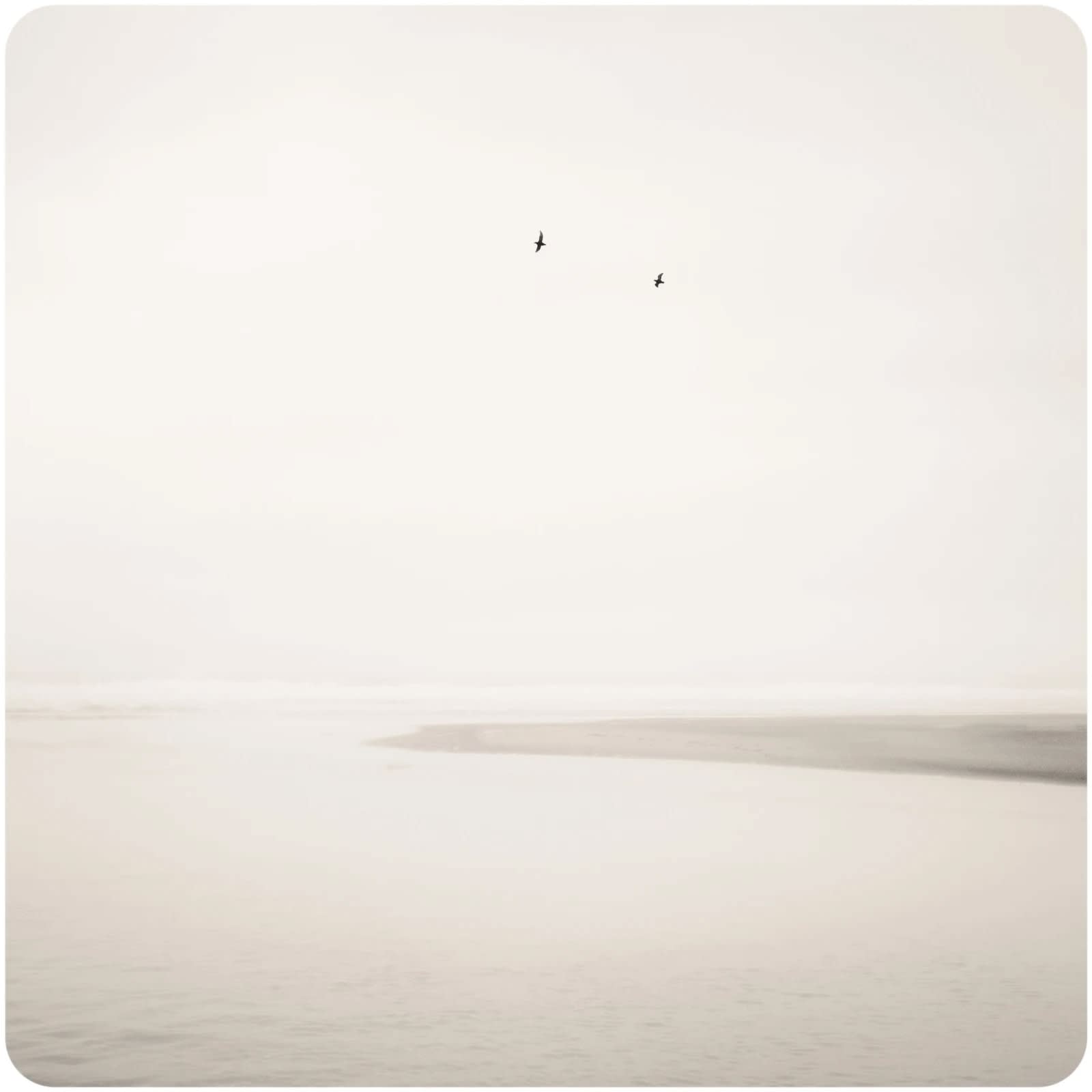 Jeffrey Conley, Two Birds In Flight, Oregon, 2020/printed 2025