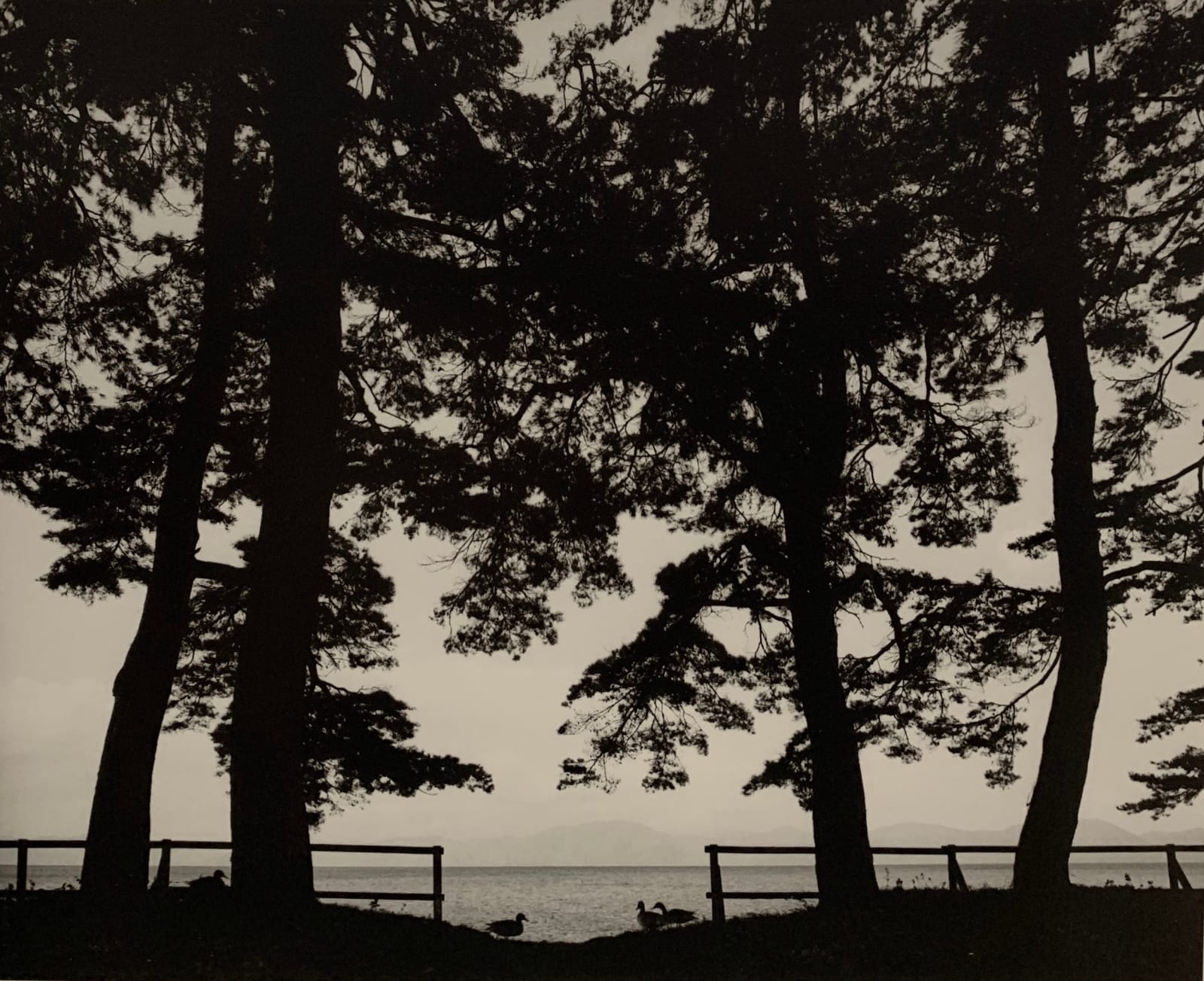 Pentti Sammallahti, Lake Inawashiro, Japan, 2005