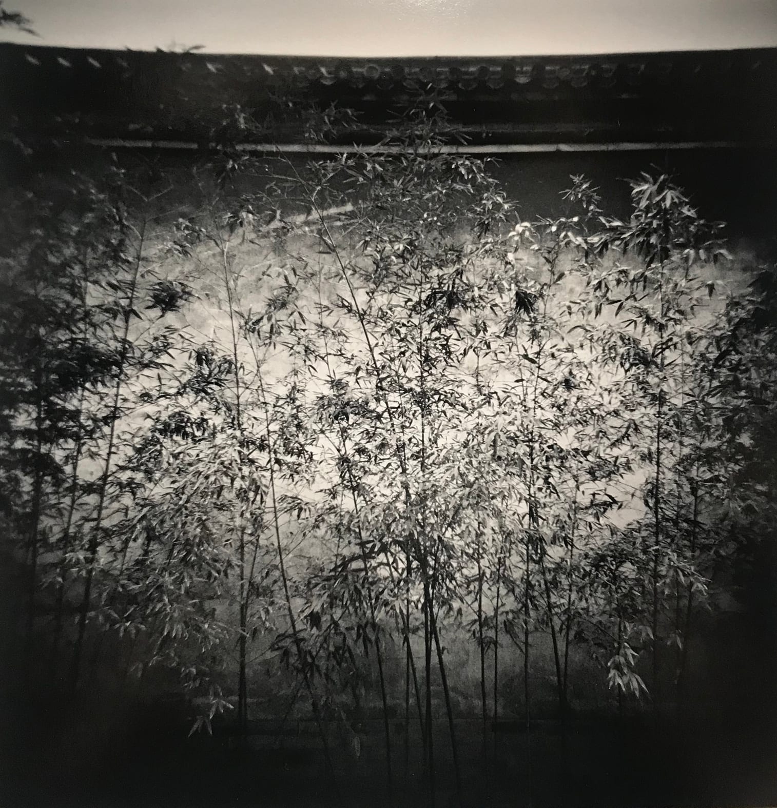 Michael Kenna, Bamboo and Wall, Forbidden City, Beijing, 2007 (2017)