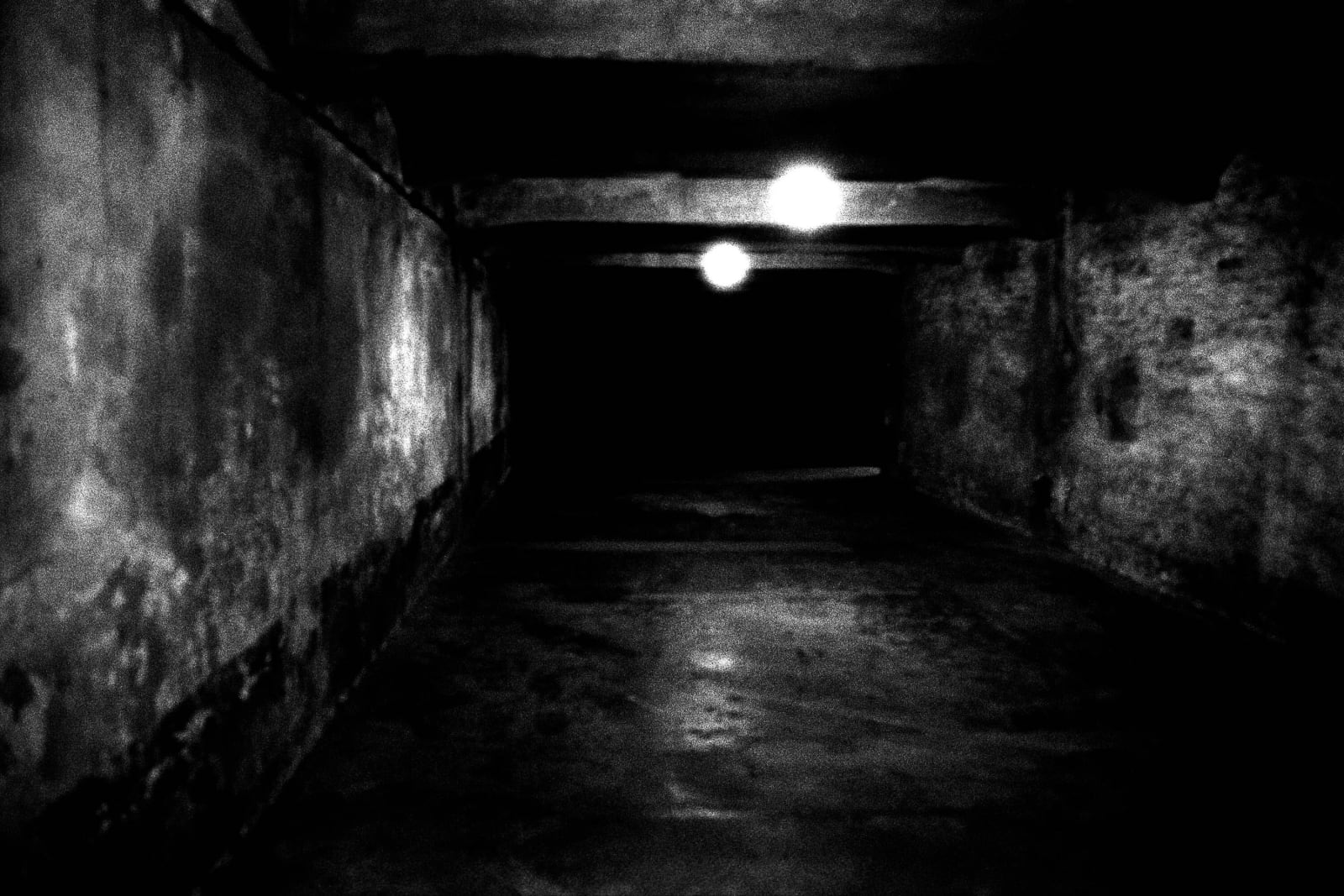 Judy Glickman Lauder, Gas Chamber, Auschwitz extermination camp, 2018