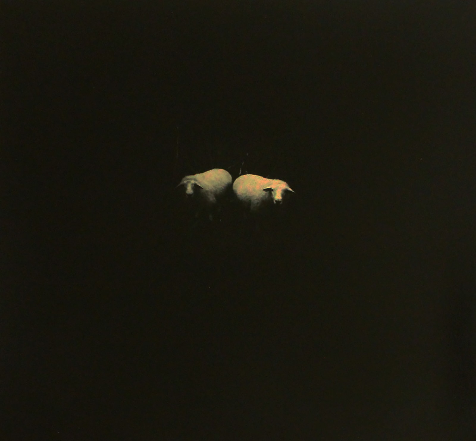 Miho Kajioka, BK0144, 2015