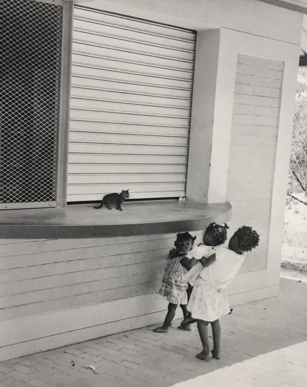 Pentti Sammallahti, Untitled (3 Girls and Cat), 2005