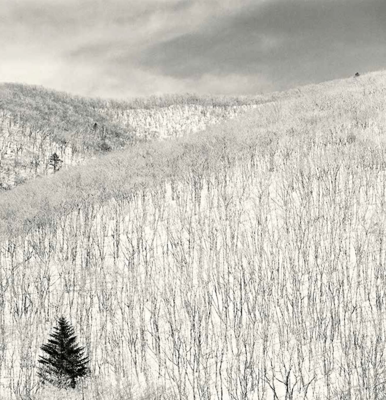 Michael Kenna, Snow Covered Hillside, Pyeongchang, 2012