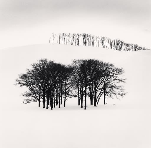 Michael Kenna, Hilltop Trees, Study 3, Teshikaga, Hokkaido, Japan., 2004