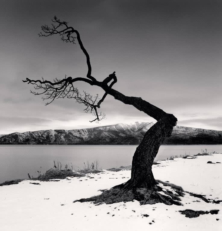 Michael Kenna, Kussharo Lake Tree, Study 12, Kotan, Hokkaido, 2008 (Printed 2013)