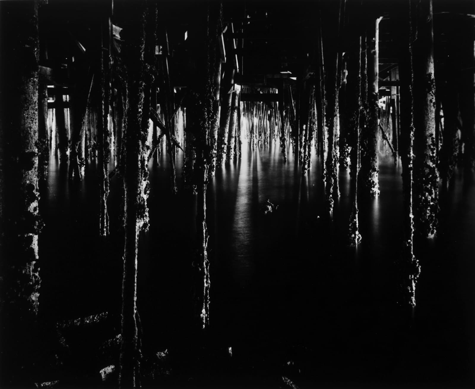 Wynn Bullock, Under Monterey Wharf, 1969