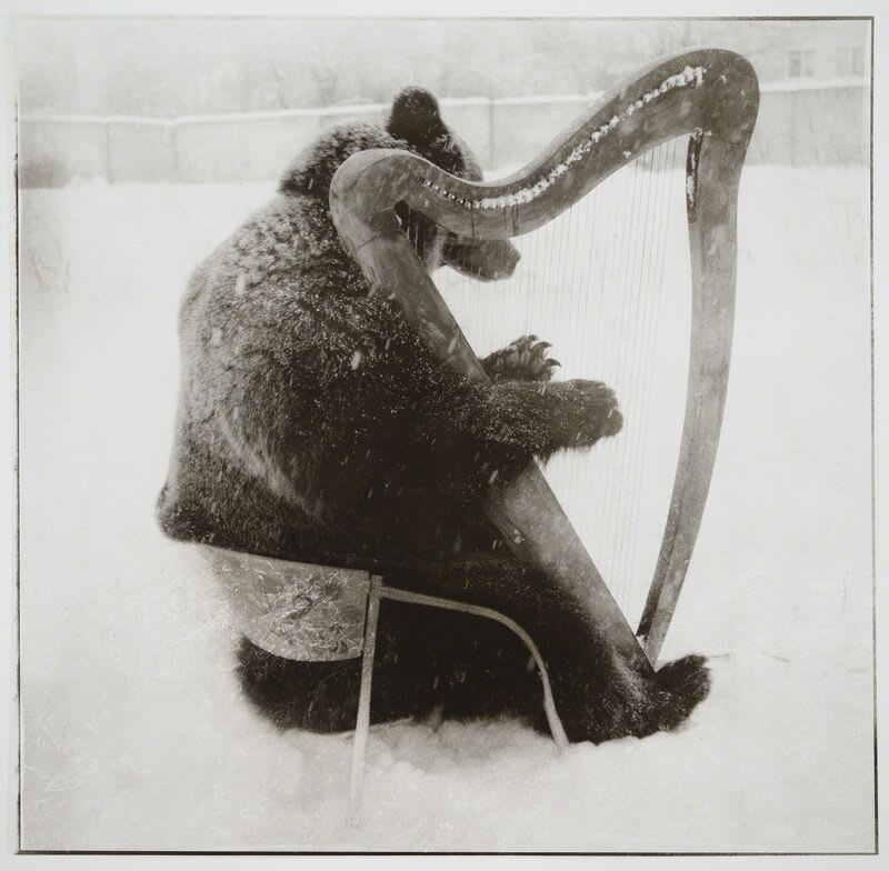 Gregori Maiofis (Григорий Майофис), Funt with Harp, 2011/2015