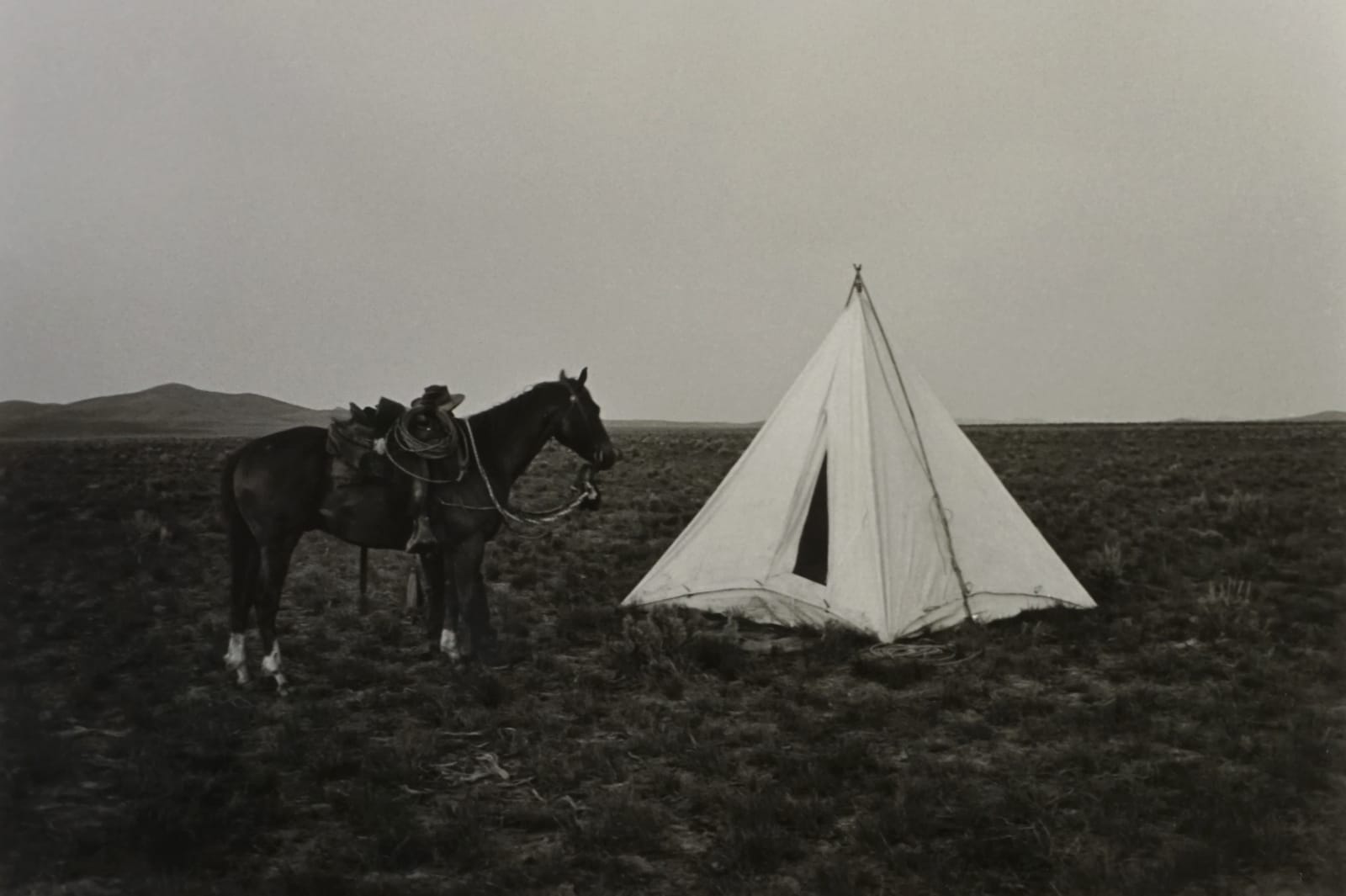 Kurt Markus, JL Ranch, Nevada, 1980