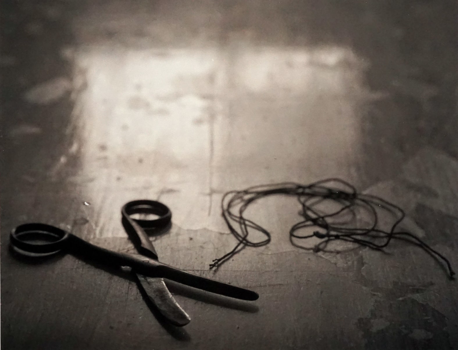 Kristoffer Albrecht, Scissors and String, 2013