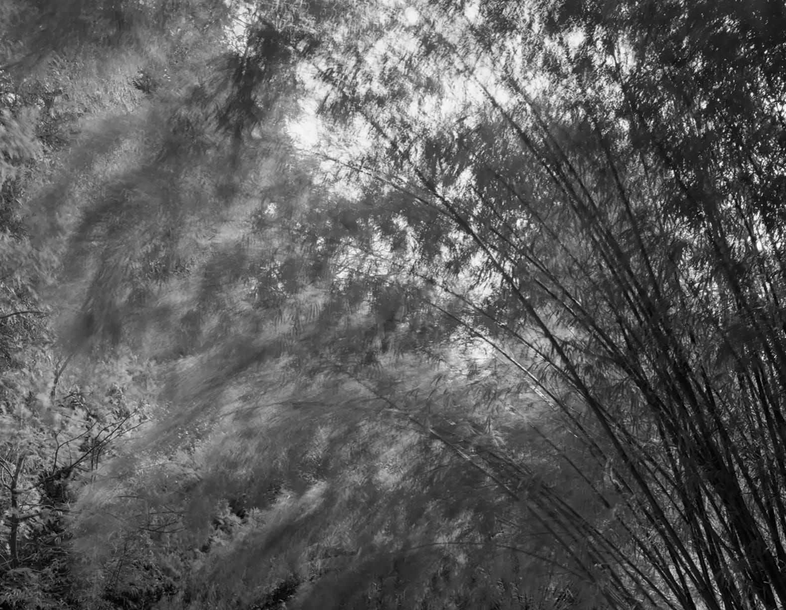 Nicholas Hughes, The Sound of Space Breathing (I), #15, 2017