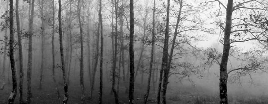 Pentti Sammallahti, Monte Sacro O Gelbison, Italy, 1999