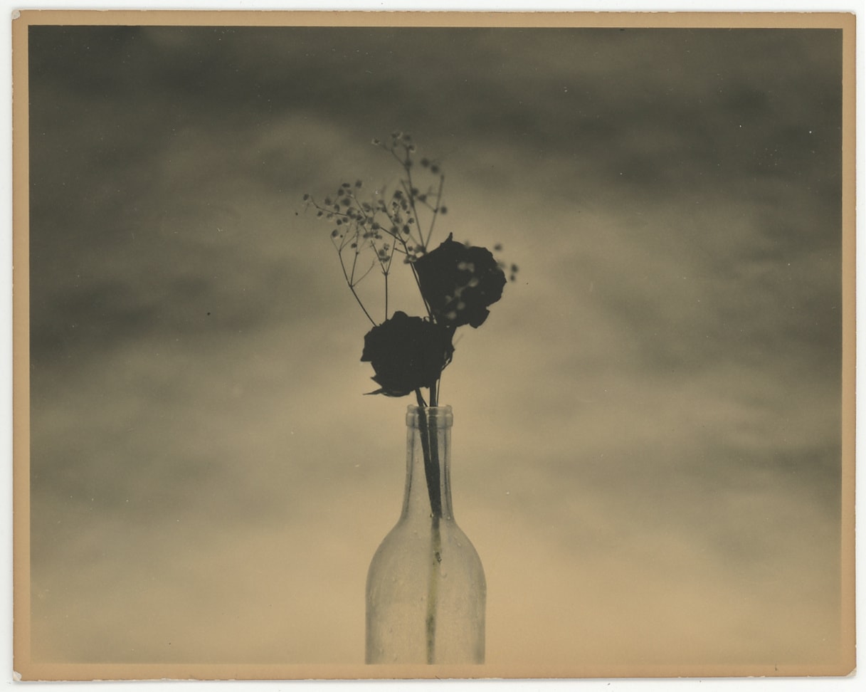 Ernesto Esquer, Still life No. 3, 2018