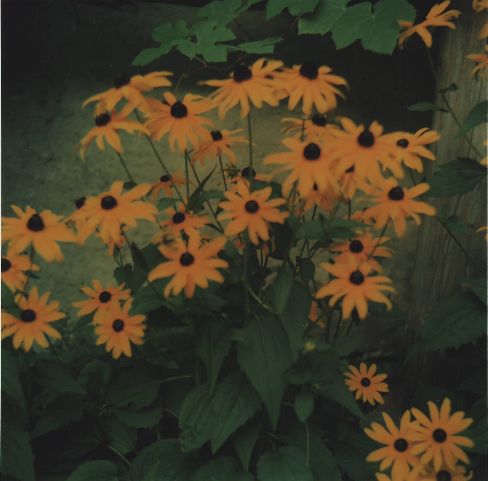 Patrick Taberna, Wengen Suisse, 2013 (Printed 2017)