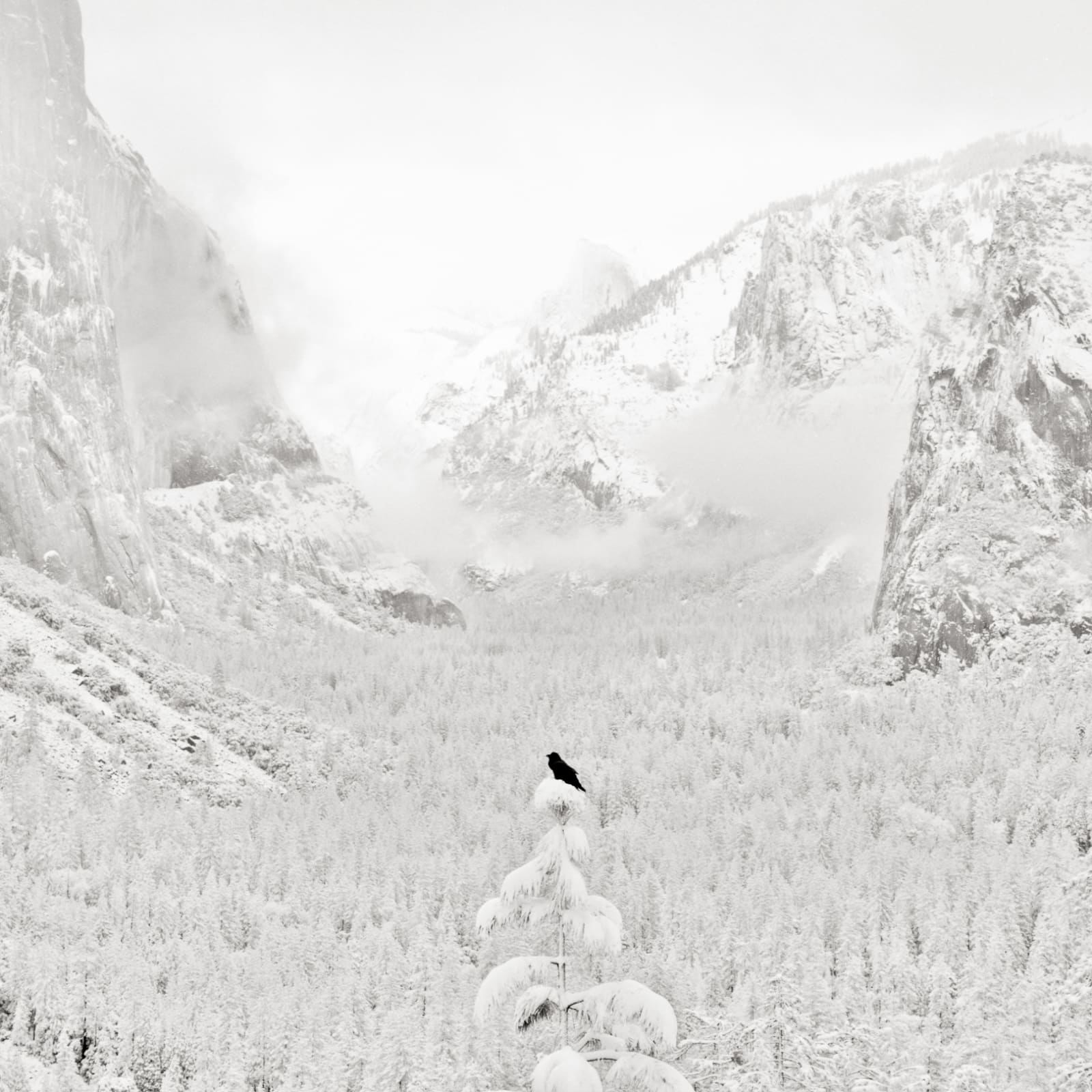 Jeffrey Conley, Crow & Valley View, 2005/Printed 2011