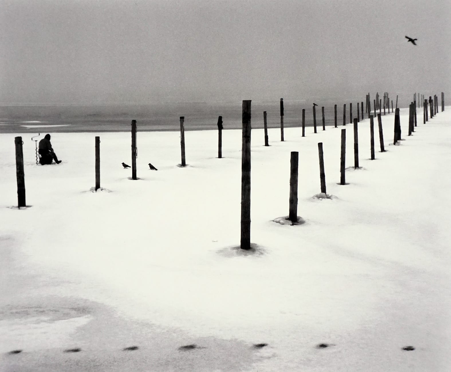半額 50％OFFの通販 Helsinki, Sammallahti, Pentti Finland, Gallery Fetterman Peter | 2016 アート・デザイン・音楽