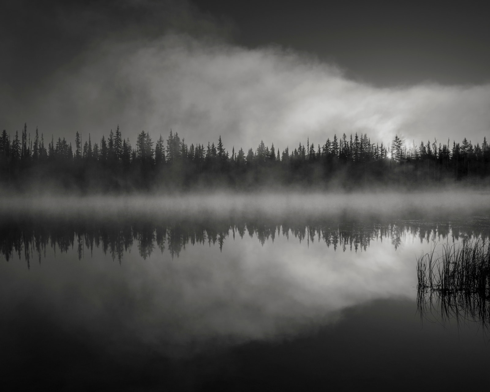 Jeffrey Conley, First Light, Oregon, 2020, Printed 2024