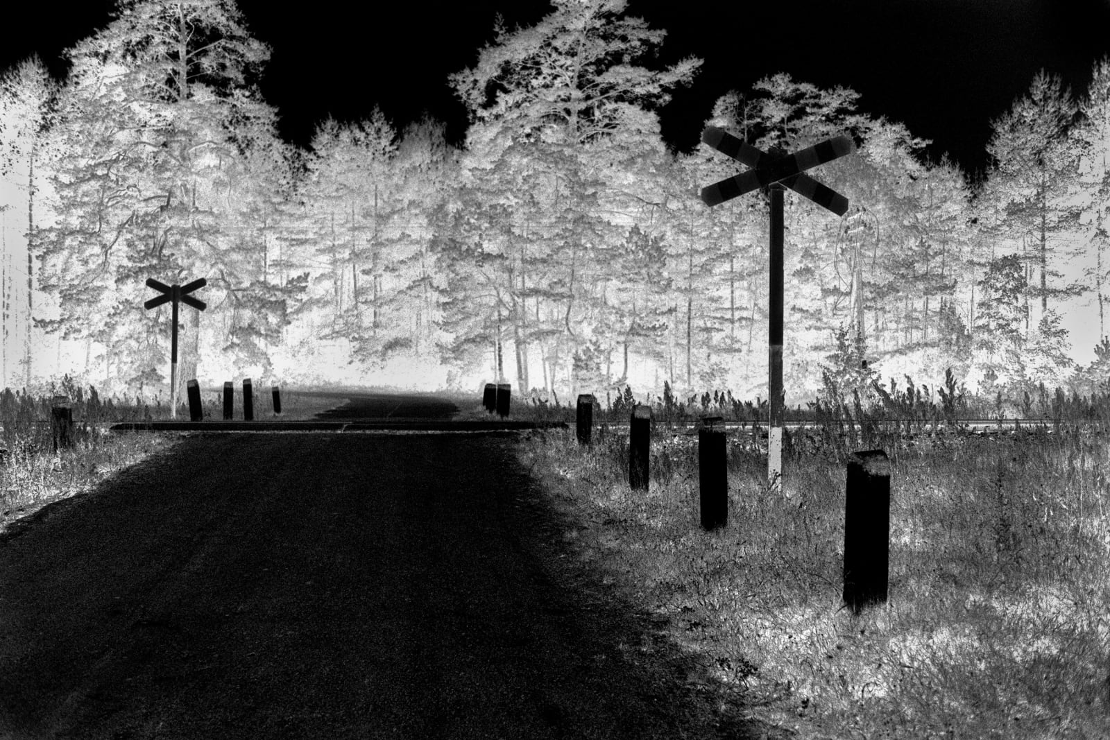 Judy Glickman Lauder, Railroad crossing, Treblinka, 2018