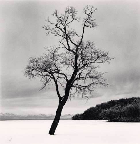 Michael Kenna, Amemasu Tree, Hokkaido, Japan, 2020
