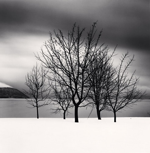 Michael Kenna, Five Trees, Toya Lake, Hokkaido, 2004