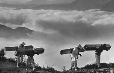 Sebastião Salgado, Wood Delivery Men for the Villages of the Eastern Sierra Madre in the Vicinity of Hualtla de Jiménez, Mexico, 1980/Printed 2006