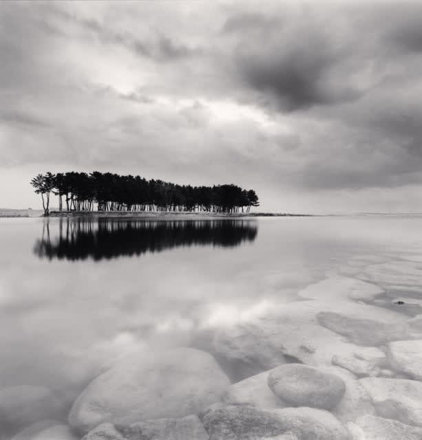 Michael Kenna, Pine Tress, Study 3, Wolcheon, Gangwondo, 2011