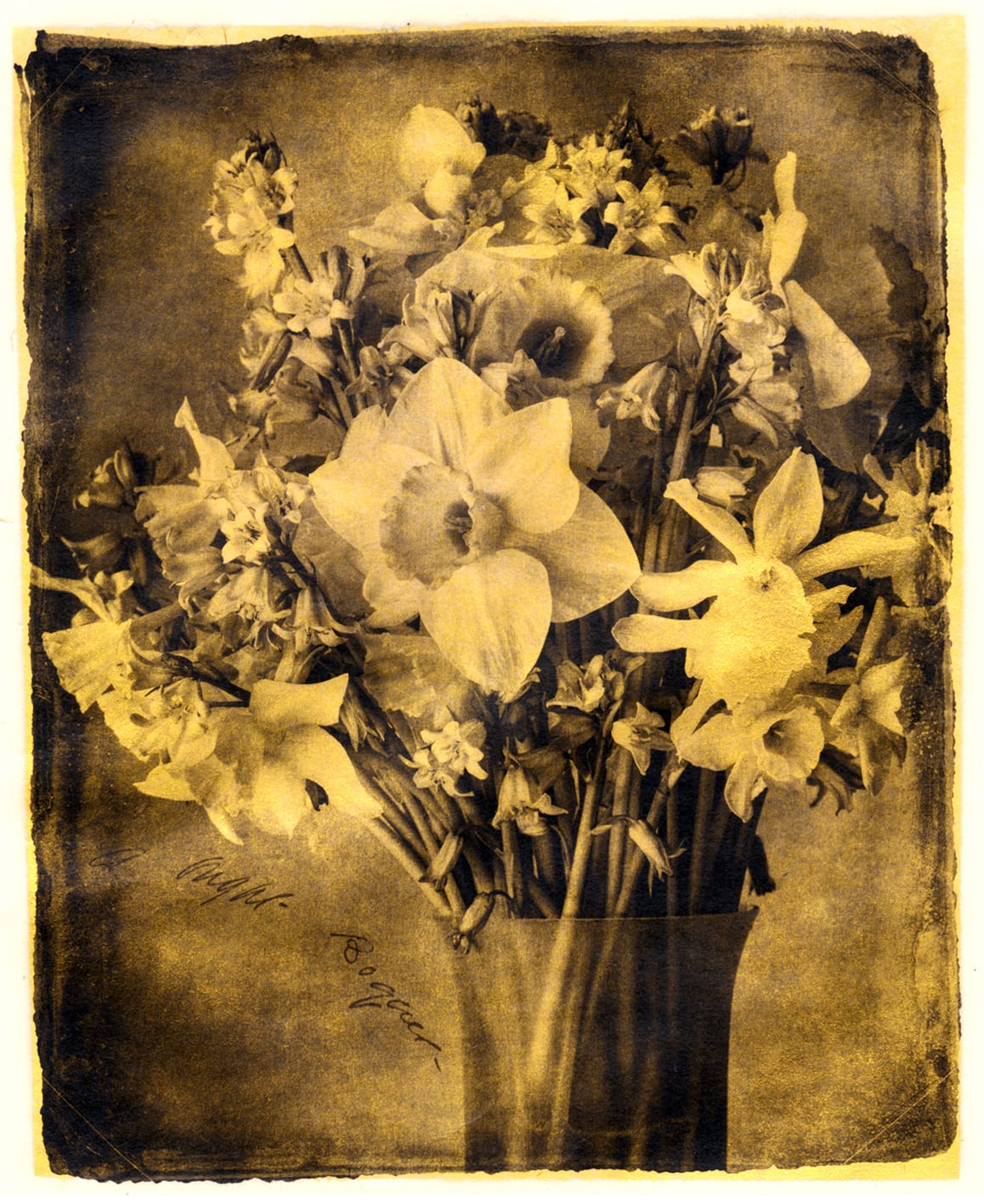 Brigitte Carnochan, A Bright Bouquet, 2018
