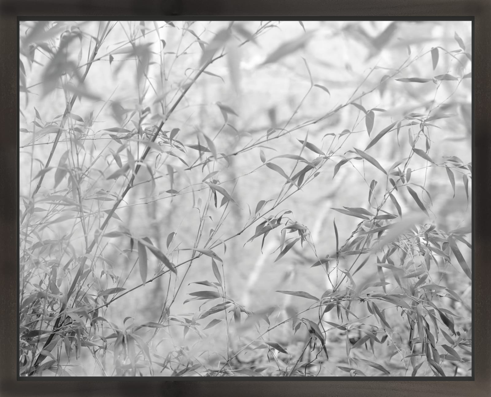 Nicholas Hughes, The Sound of Space Breathing (II), #7, 2018