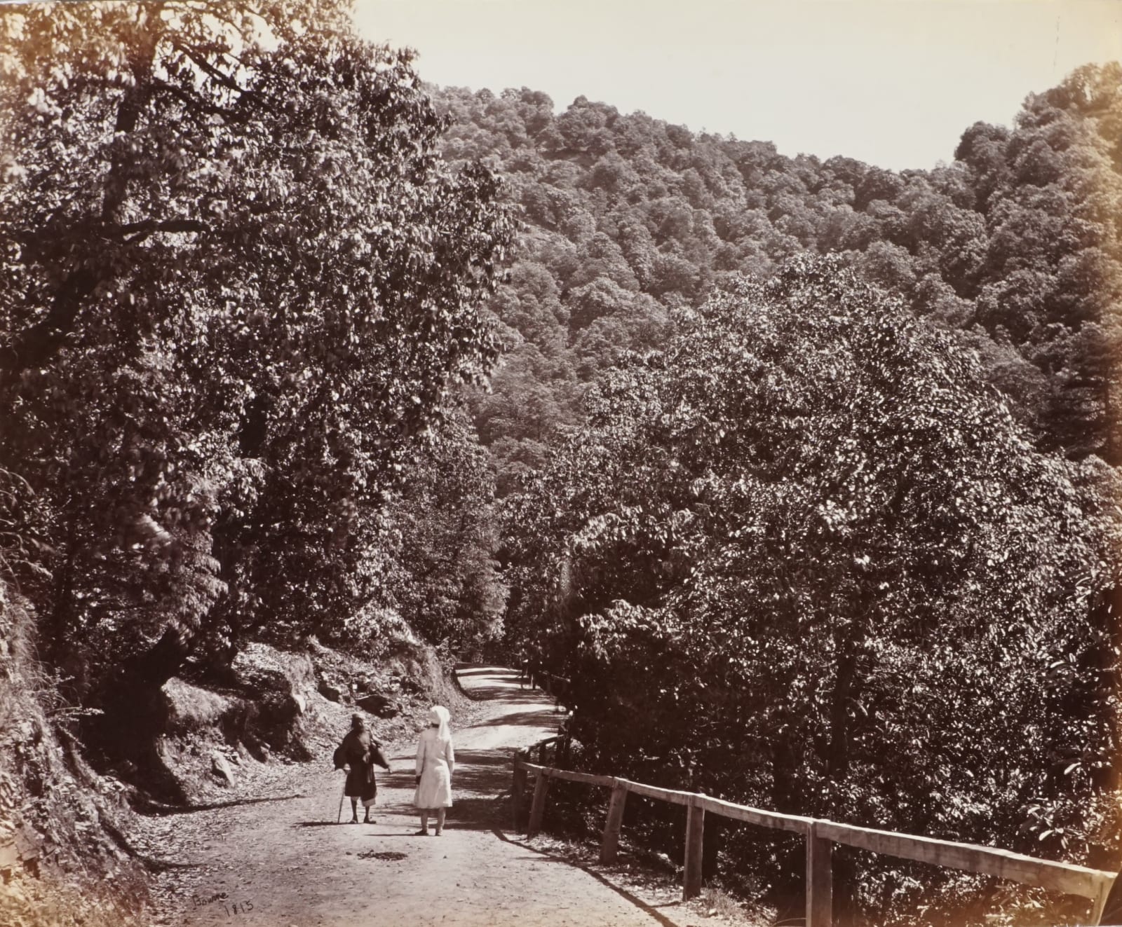 Samuel Bourne, SIMLA; A SHADY RIDE ROUND JAKKO., 1868