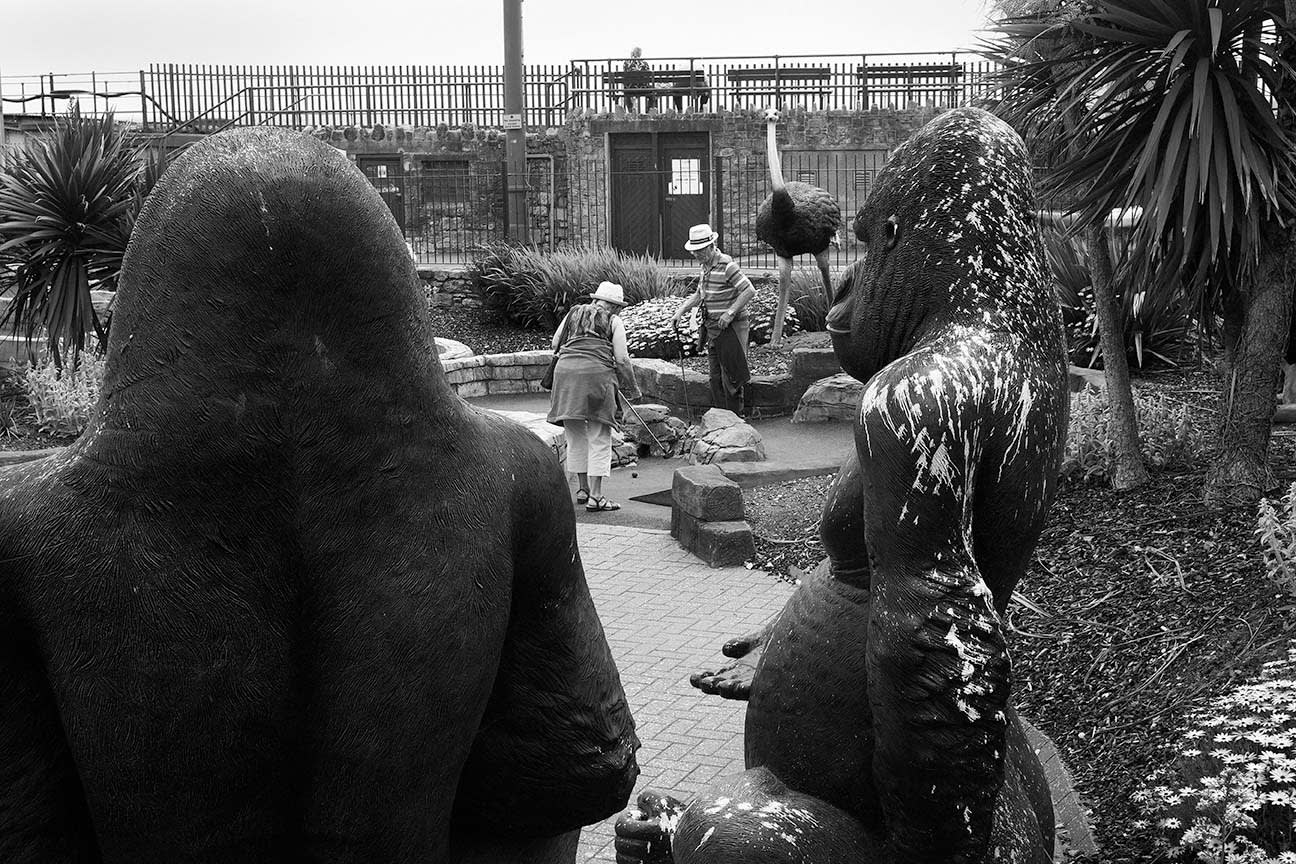 Roger A. Deakins, Great Apes At Crazy Golf, Dawlish, 2021