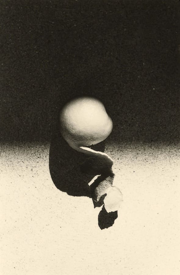 Ernesto Esquer, Peel, 2014 (Printed 2018)