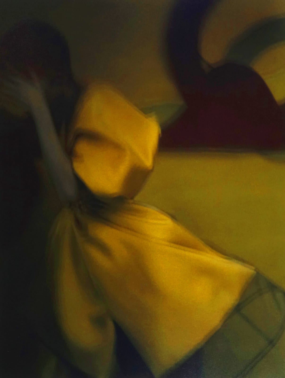 Sarah Moon, Passing By, 2010