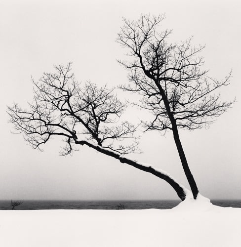 Michael Kenna, Two Leaning Trees, Study 3, Kussharo Lake, Hokkaido, Japan., 2020