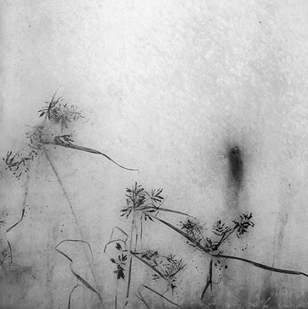 Byung-Hun Min, WV028 BHM, 1996