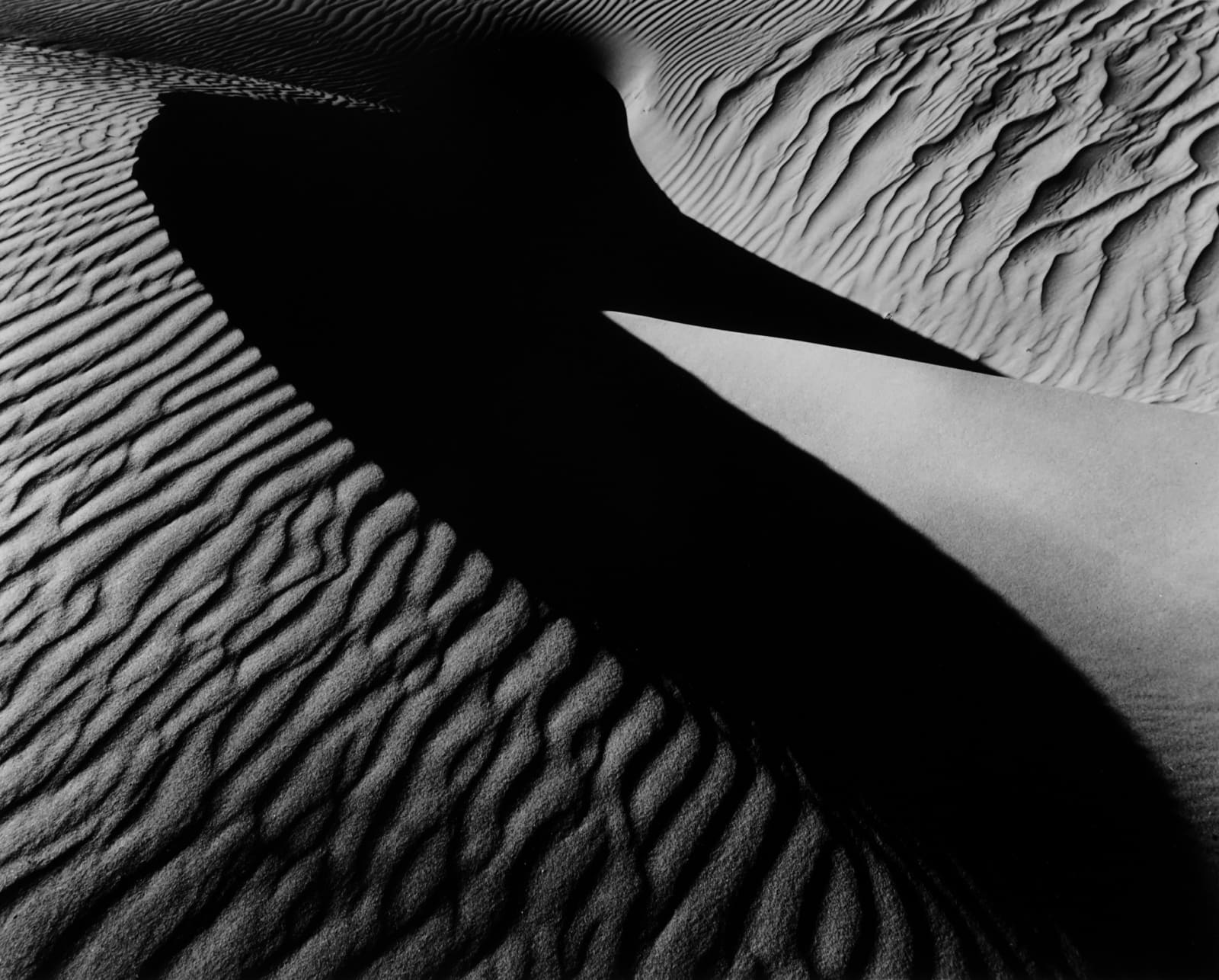 Brett Weston, Bird Dune, Oceano, 1934 (Printed 1980)
