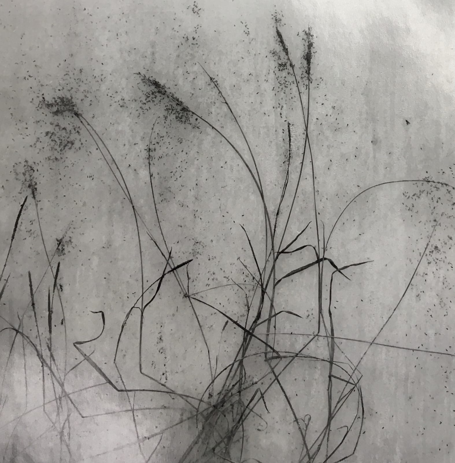 Byung-Hun Min, WV068 BHM, 1996