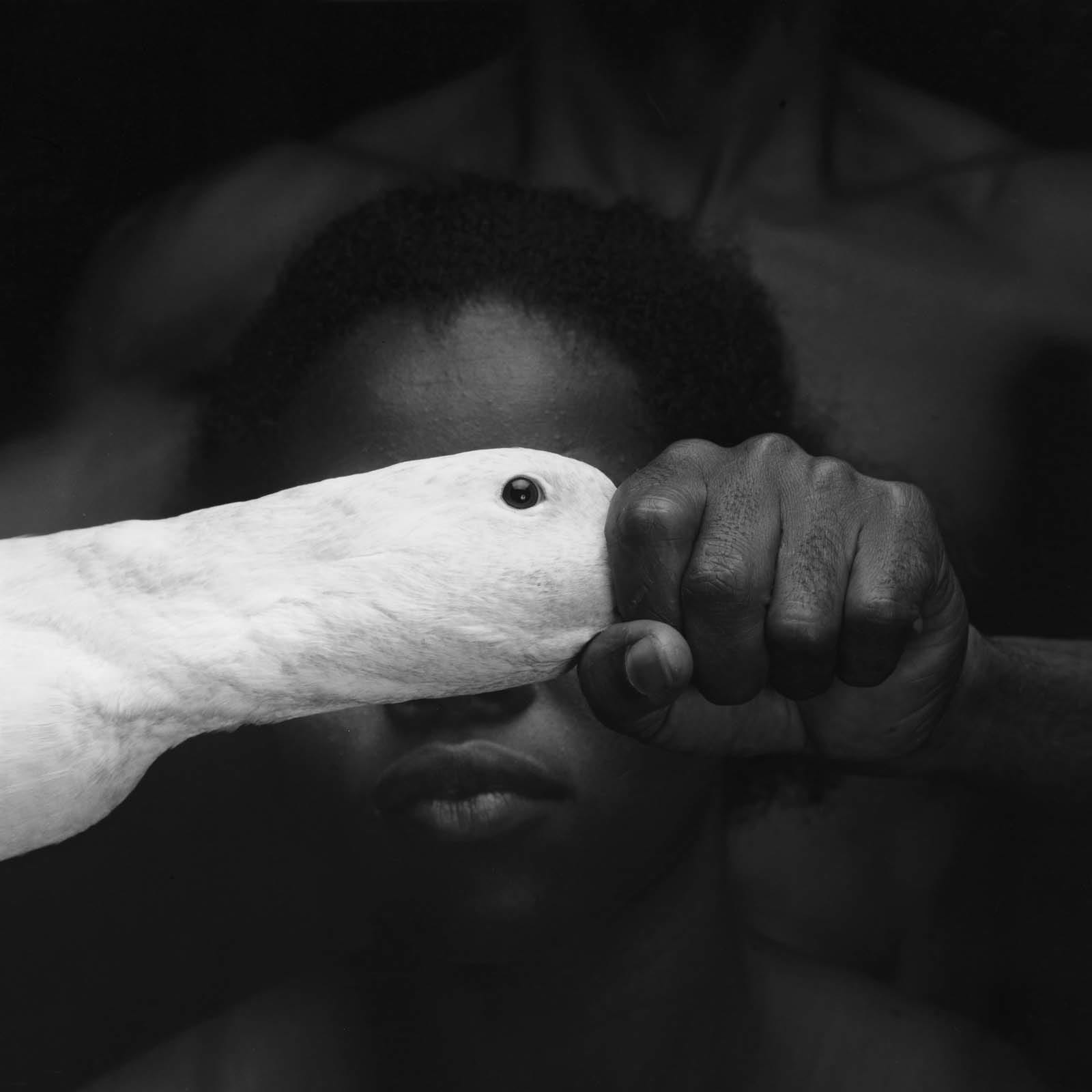 Mario Cravo Neto (Brazil, b. 1947 - 2009), Odé, 1985