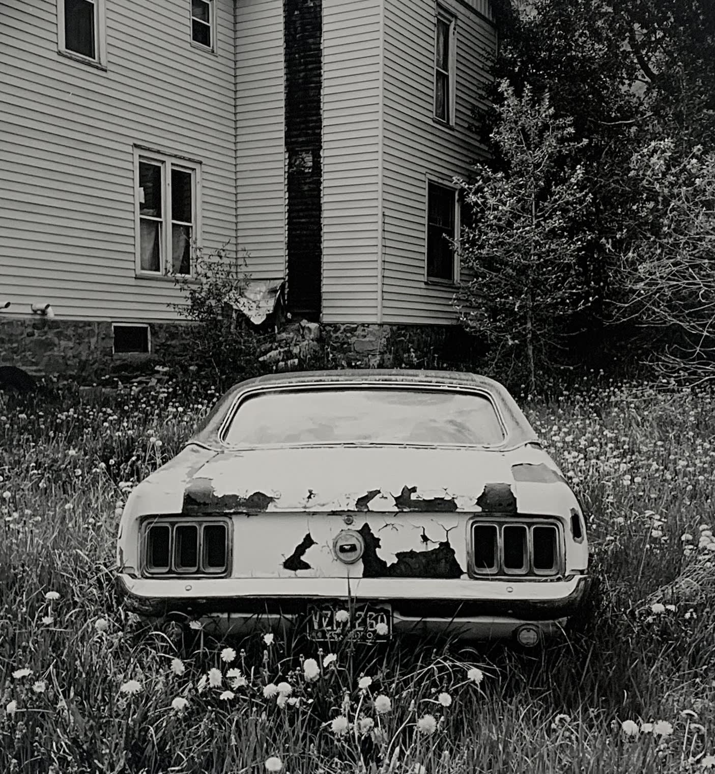 Ryan McIntosh, Mustang, Silverton, CO, 2021