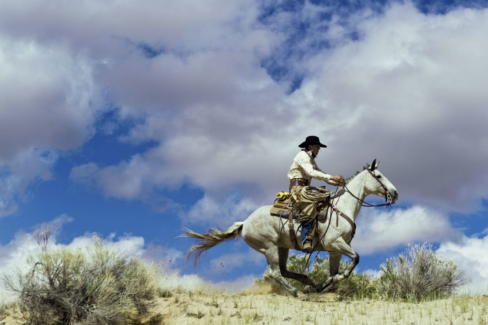 Jim Krantz, Epic Western no. 9, 2010
