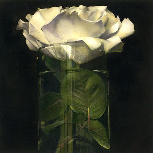 Brigitte Carnochan, Yellow Tea Rose, 1999