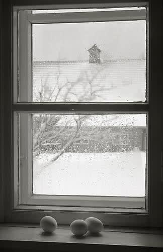 Kristoffer Albrecht, Eggs in Window, 1988