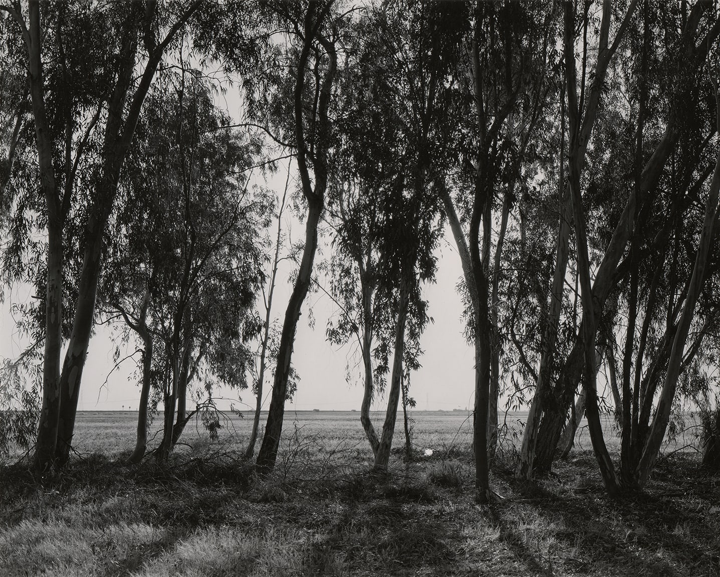 Ryan McIntosh, Lost Hills, CA, 2021