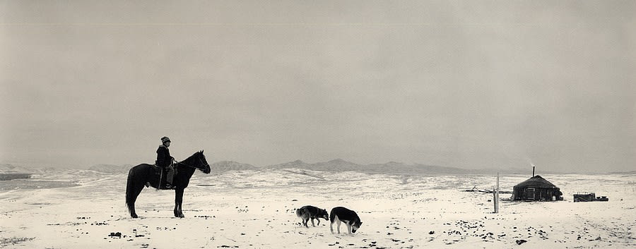 Pentti Sammallahti, Ulug-Khem, Tuvva, Siberia, (1 Horse and 2 Dogs in snow), 1997/ printed later