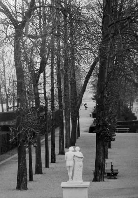 Edouard Boubat, Parc de Saint Cloud, Paris, 1982/Printed later