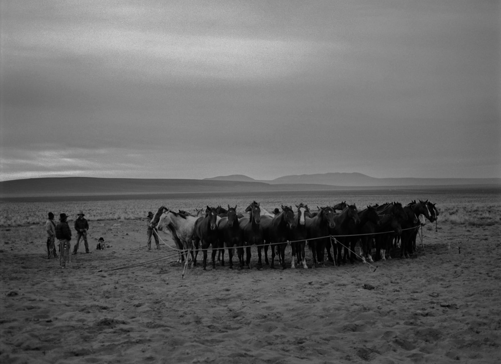 Kurt Markus, Ranch, Paisley, Oregon, 1982, printed 1999