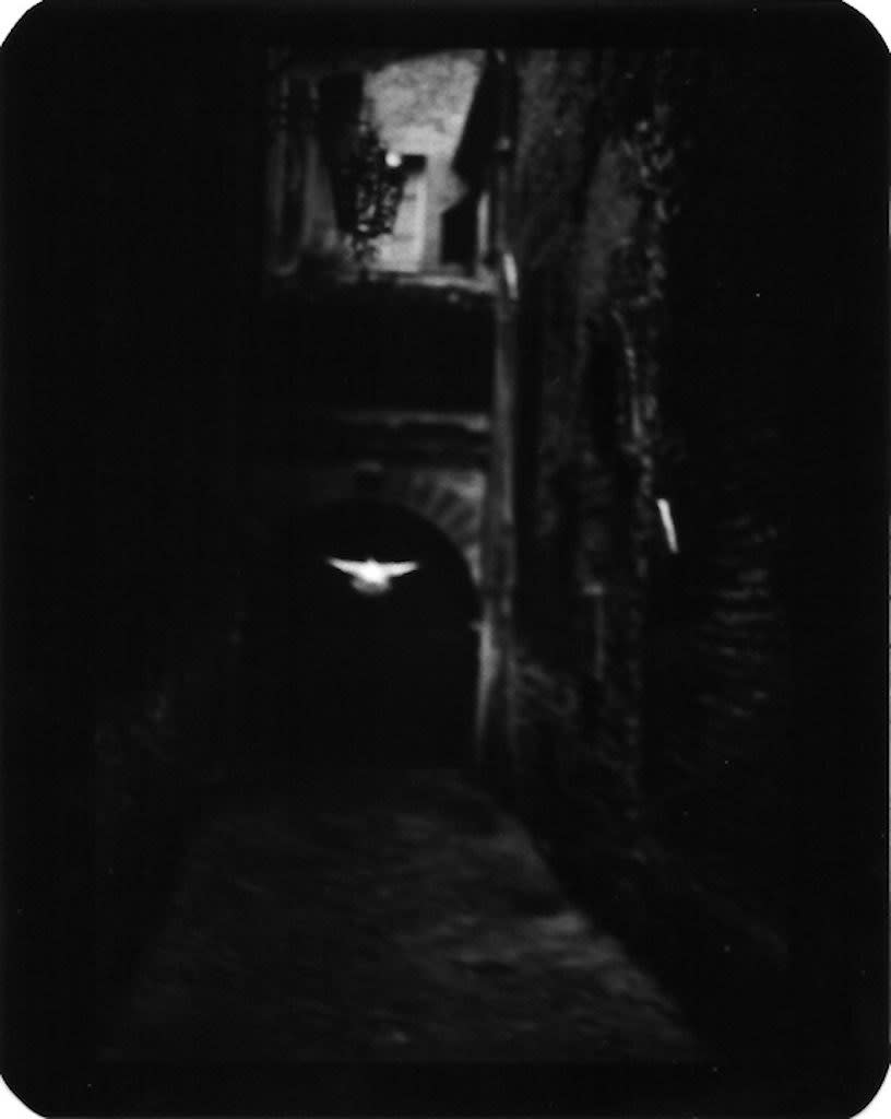 Giacomo Brunelli (Italy, b. 1977), "Pigeon Montefalco Alley" - The Animals, 2007