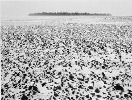 Pentti Sammallahti, Jurmo, Finland, 1973